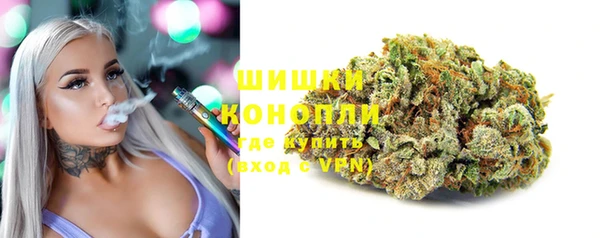 индика Аркадак