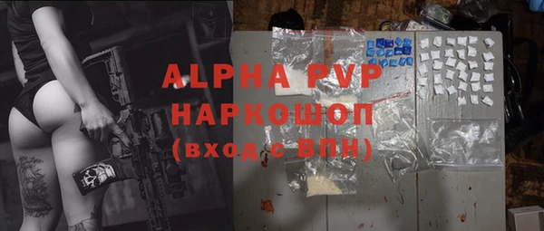 индика Аркадак