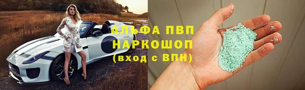 индика Аркадак