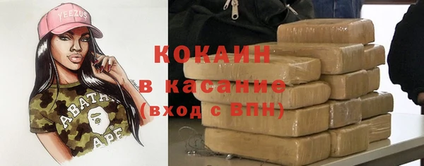 индика Аркадак