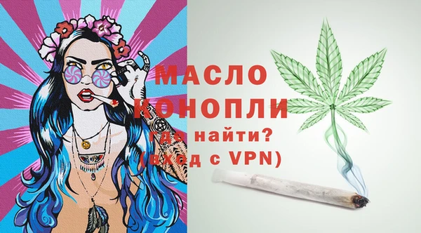 индика Аркадак