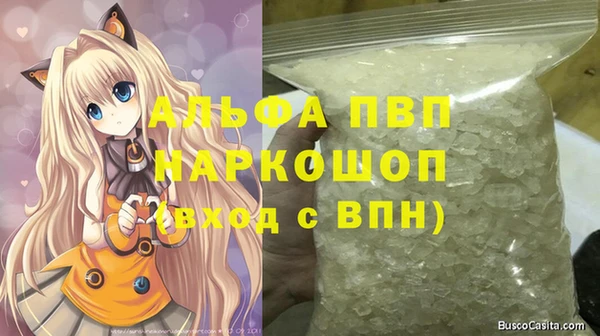 индика Аркадак