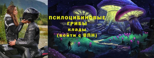 индика Аркадак