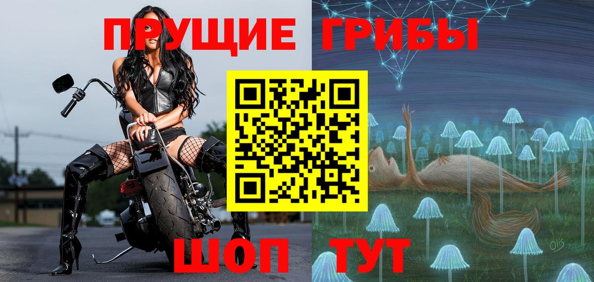 Псилоцибиновые грибы прущие грибы Ленинск-Кузнецкий