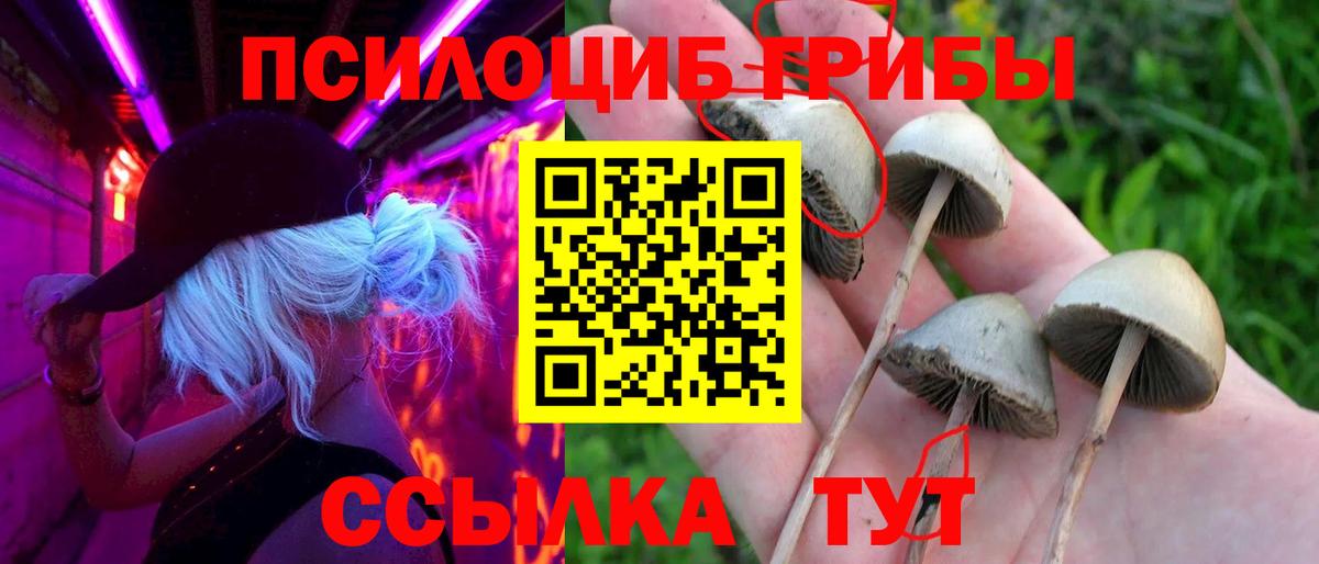 Галлюциногенные грибы Magic Shrooms  Вход с VPN  Псилоцибиновые грибы мицелий  Ленинск-Кузнецкий 